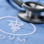 獣医さんは儲かる？