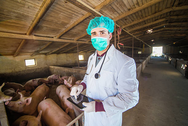 家畜の病気はワクチンでコントロールできる？