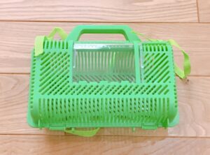 昆虫食の動画のご紹介