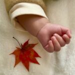 赤ちゃんが産まれる前と産まれた後の肺って、どう変わるの？