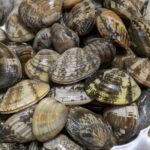 きれいな海とう○ことアサリの話