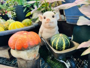 家畜の去勢はなぜ必要？