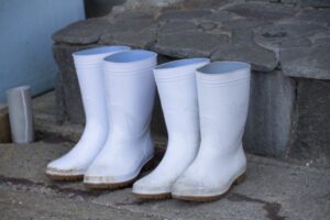 長靴の中からコンニチハ