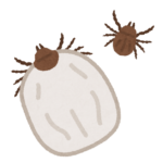 マダニが飛ぶ？！