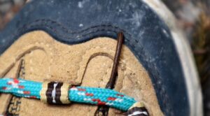 今度はヒルまで飛んでしまう?!