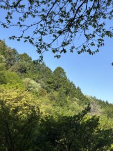 低山ブームとダニの関係