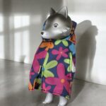 【新作紹介】梅雨の時期にぴったり！レインコート