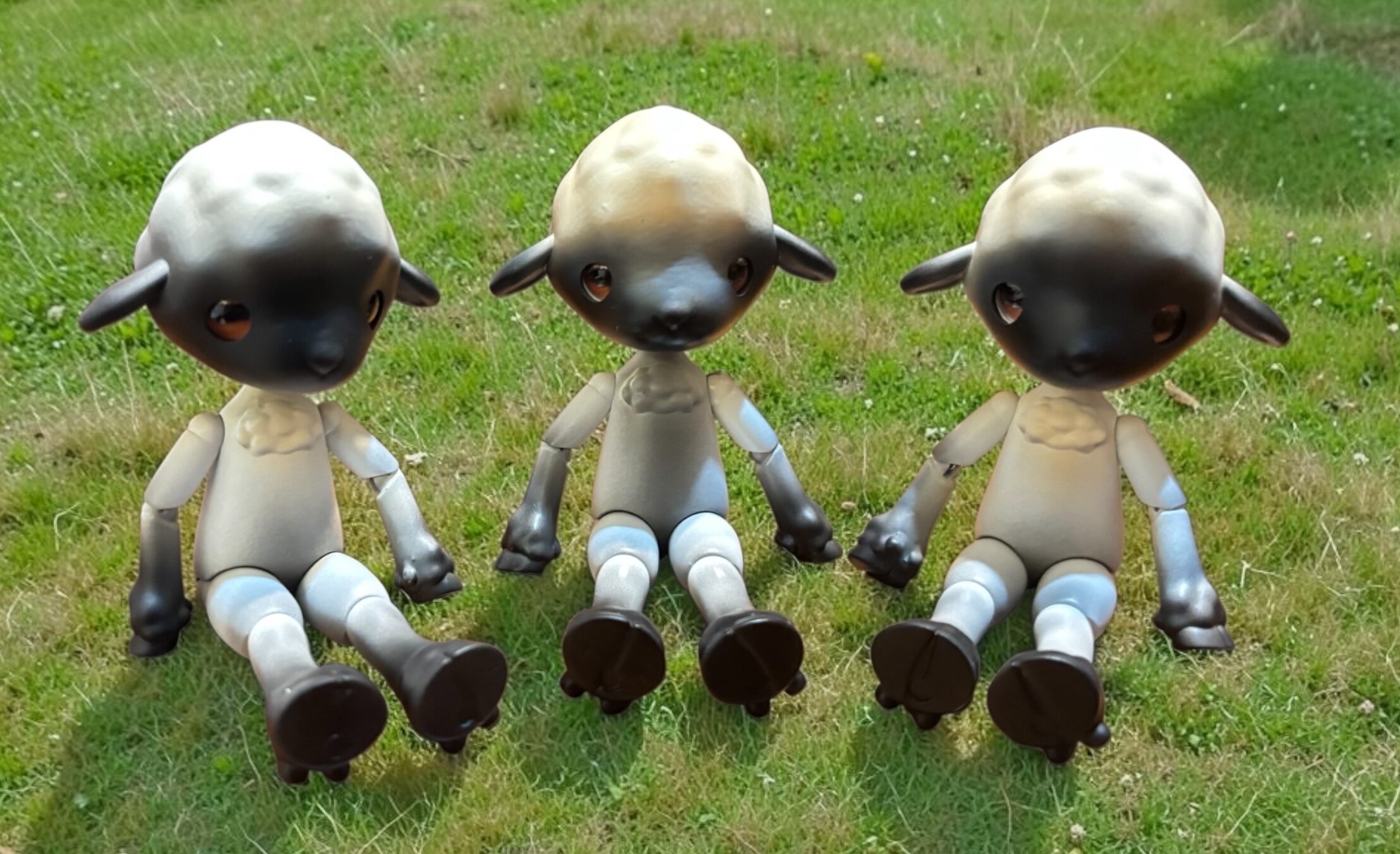 【新作紹介】羊さんできました🐏